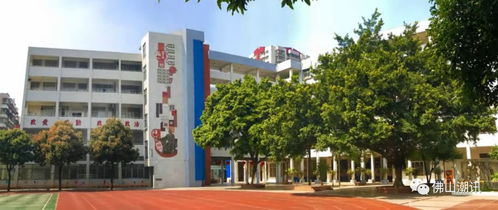 重磅 佛山這13所學(xué)校被國家點(diǎn)名了 有你的母校嗎