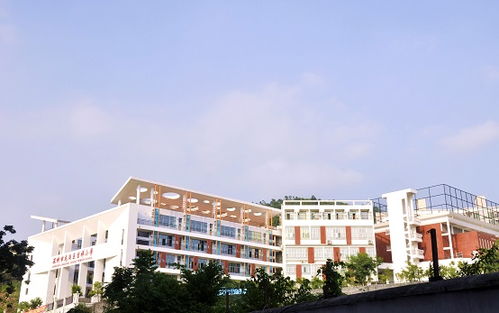 深圳市龍崗區(qū)吉祥小學(xué)